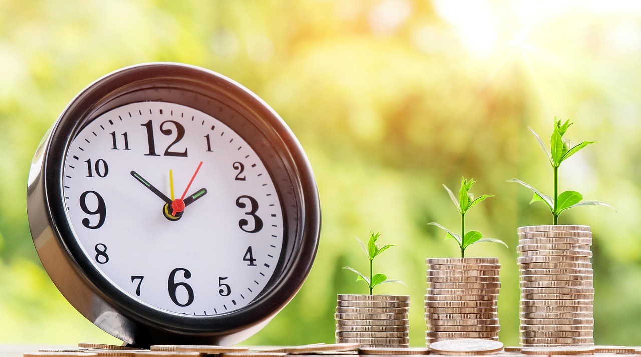 best crypto for long term investment - HourlyMail24